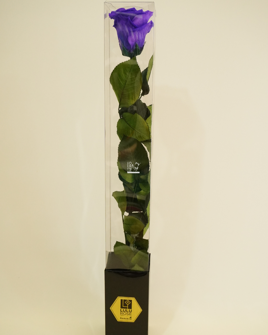 Rosa Viola Stabilizzata