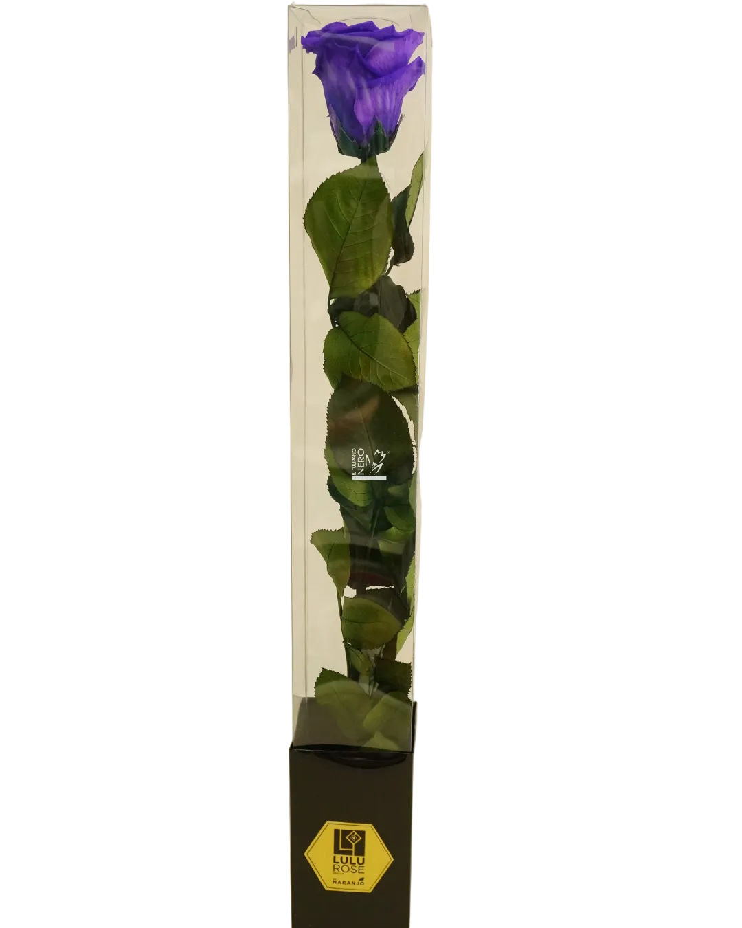 Rosa Viola Stabilizzata