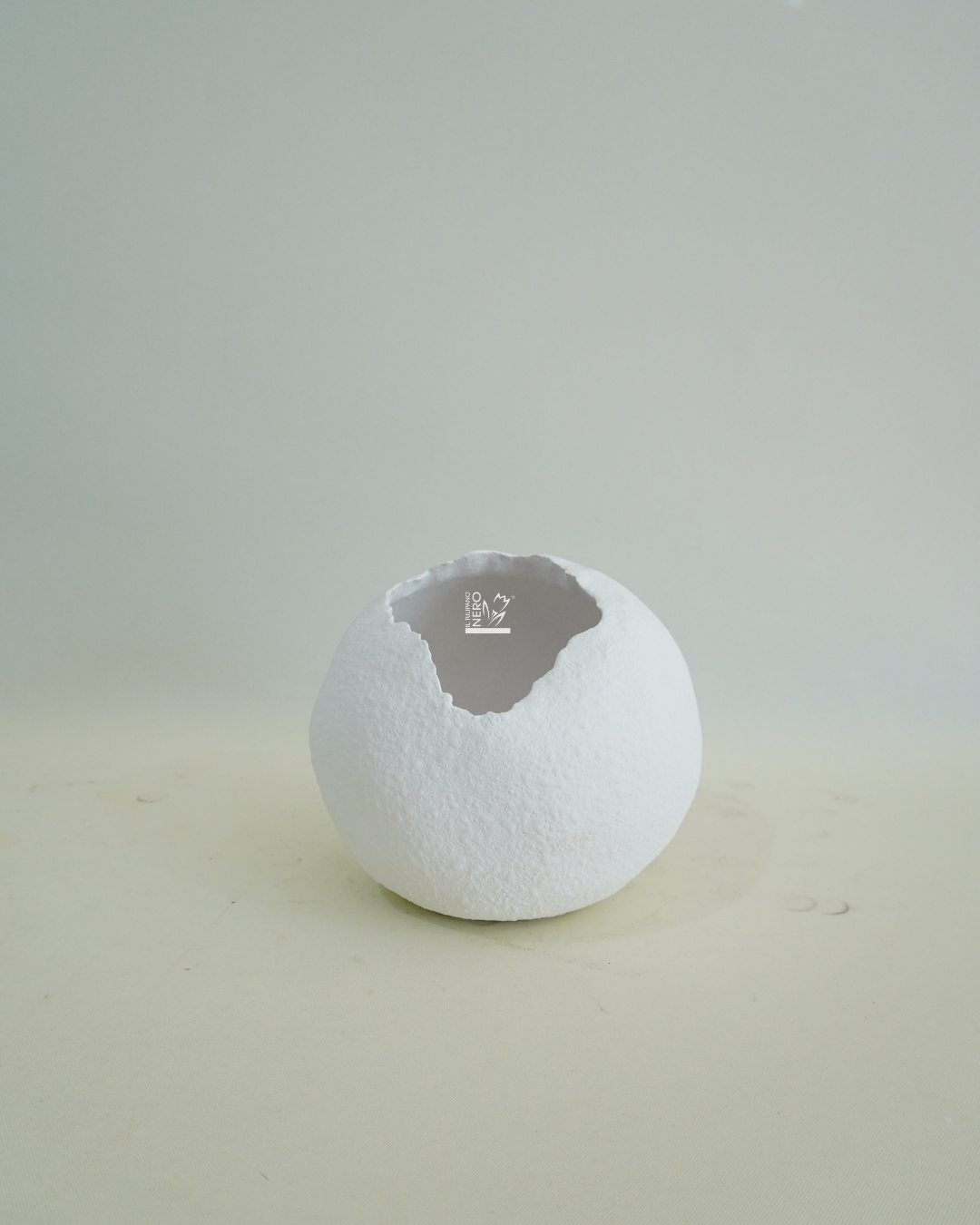 Vaso Guscio Schiuso Piccolo