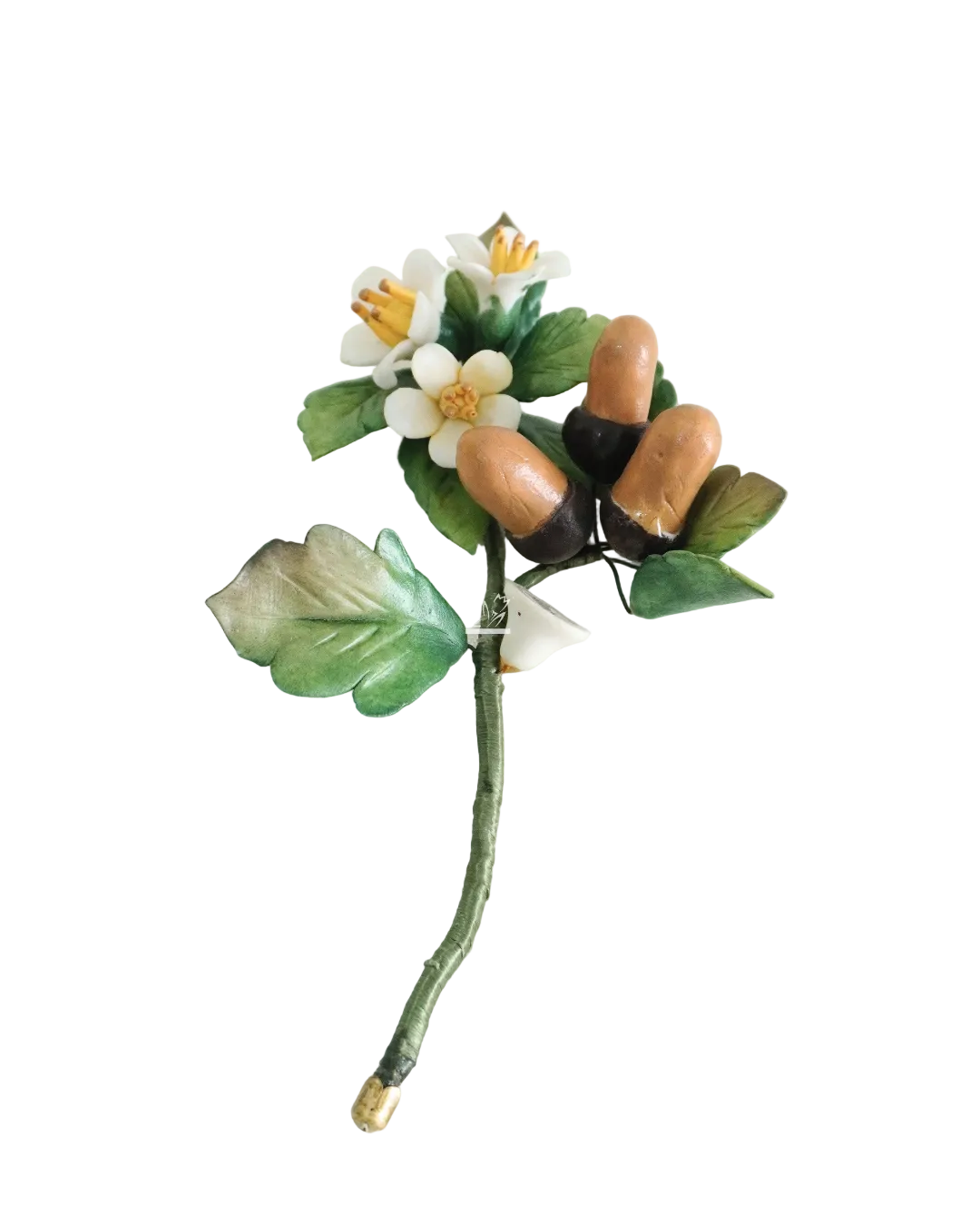 Ghiande e Fiori | Capodimonte