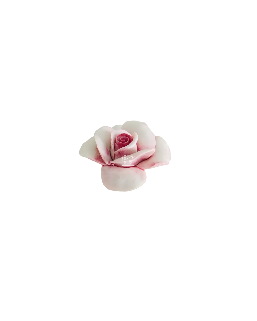 Bocciolo di Rosa | Capodimonte