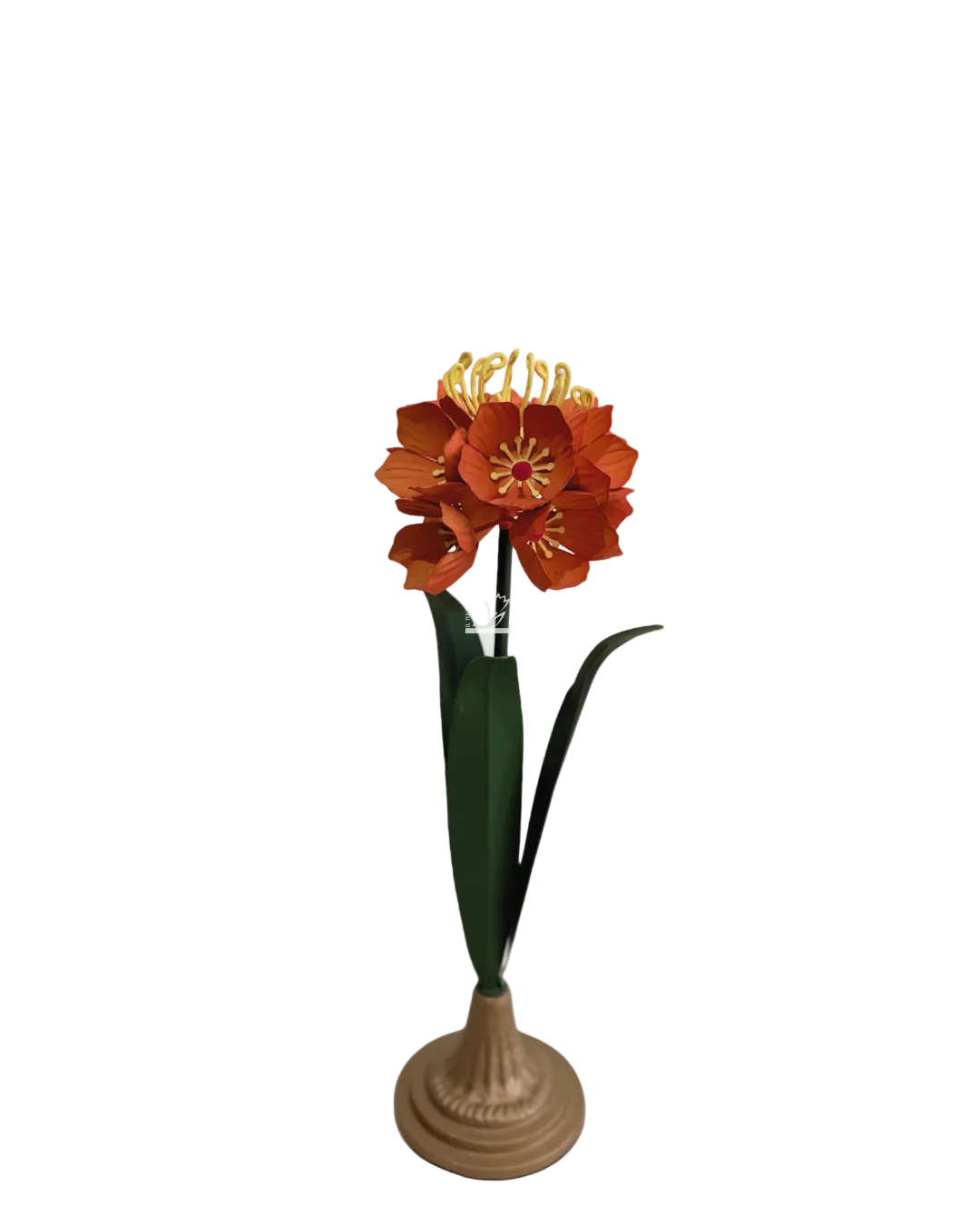 Clivia in Metallo