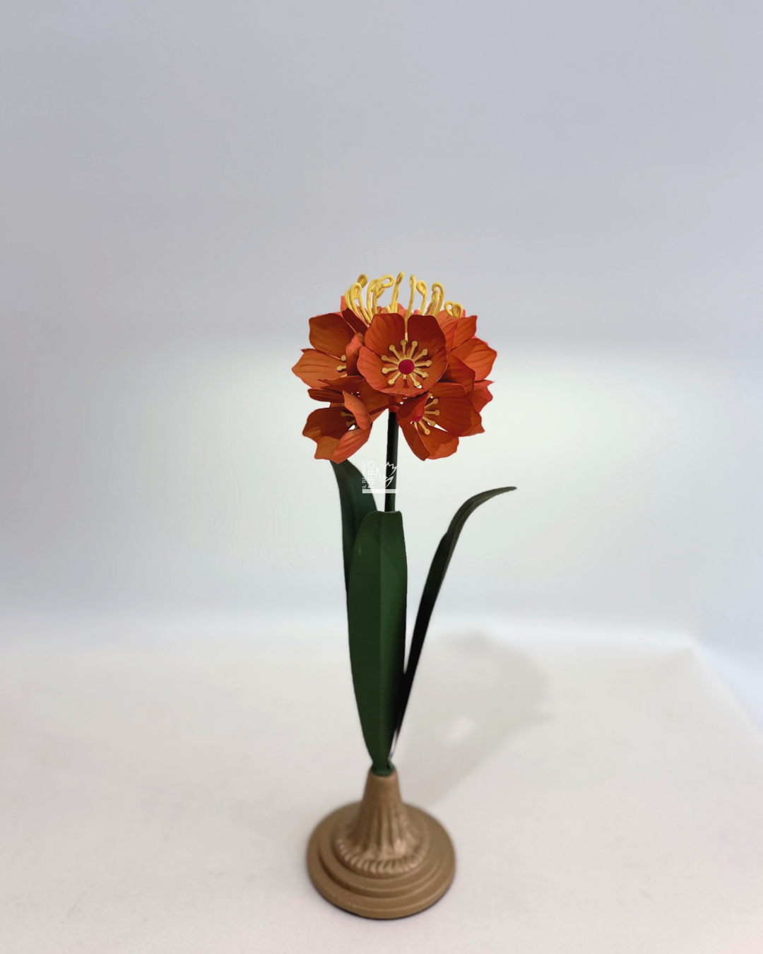 Clivia in Metallo