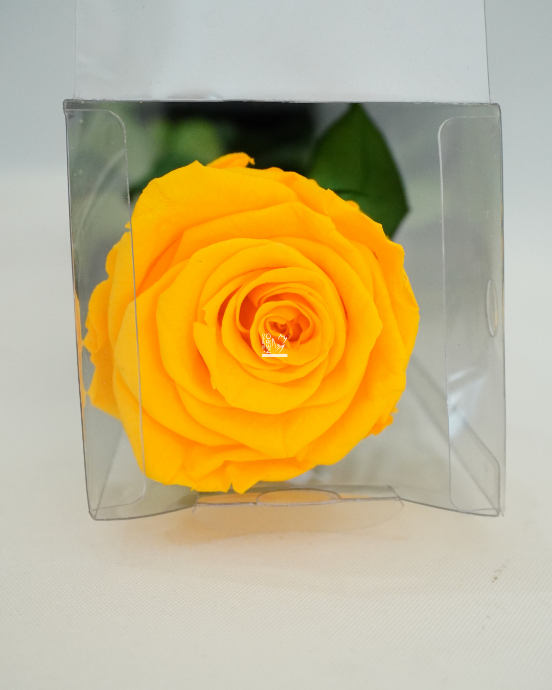 Rosa Gialla Stabilizzata