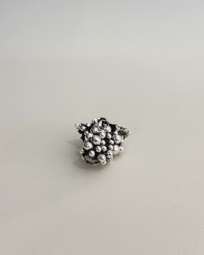 Grappolo d'uva | VALENTI & CO.