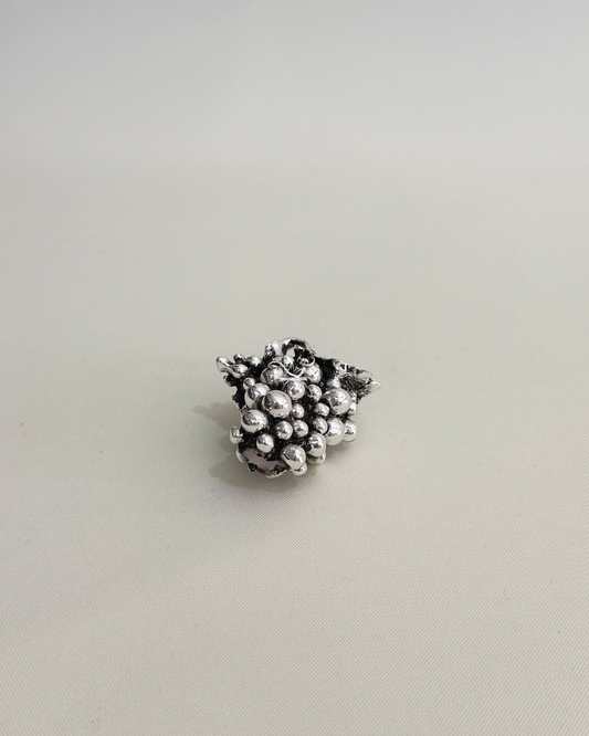 Grappolo d'uva | VALENTI & CO.