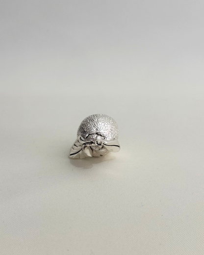 Limone | VALENTI & CO.