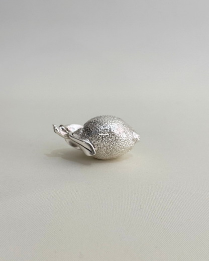 Limone | VALENTI & CO.