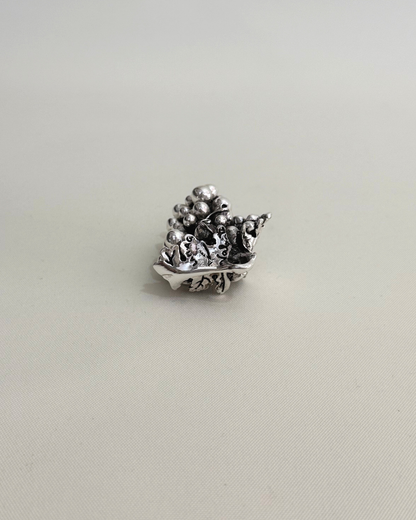 Grappolo d'uva | VALENTI & CO.