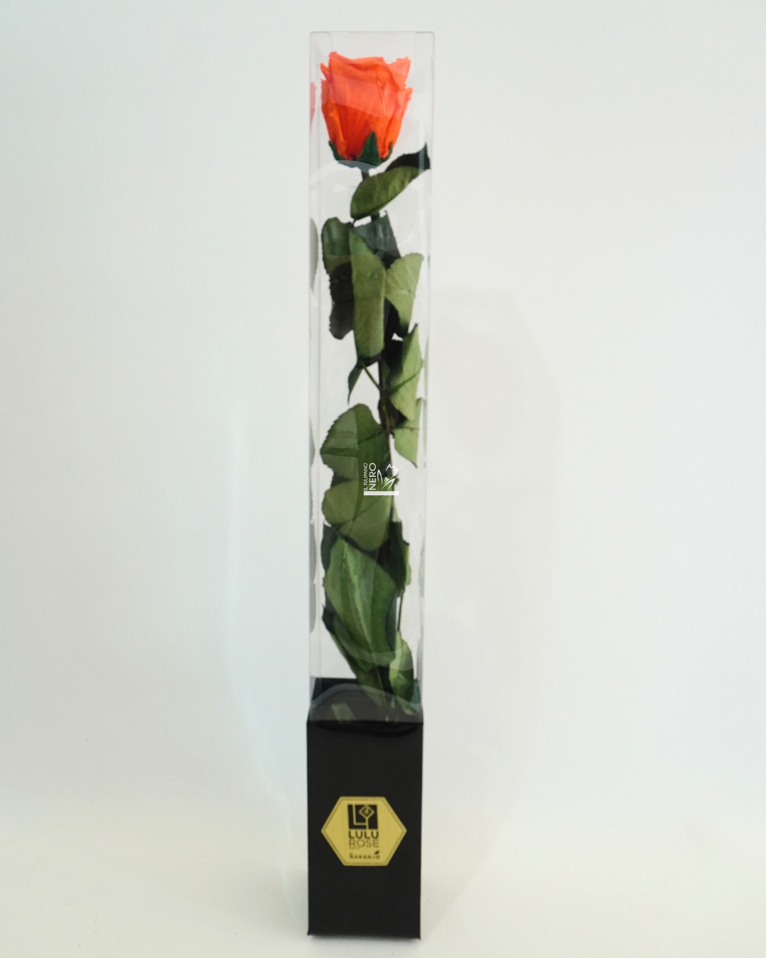 Rosa Arancione Stabilizzata