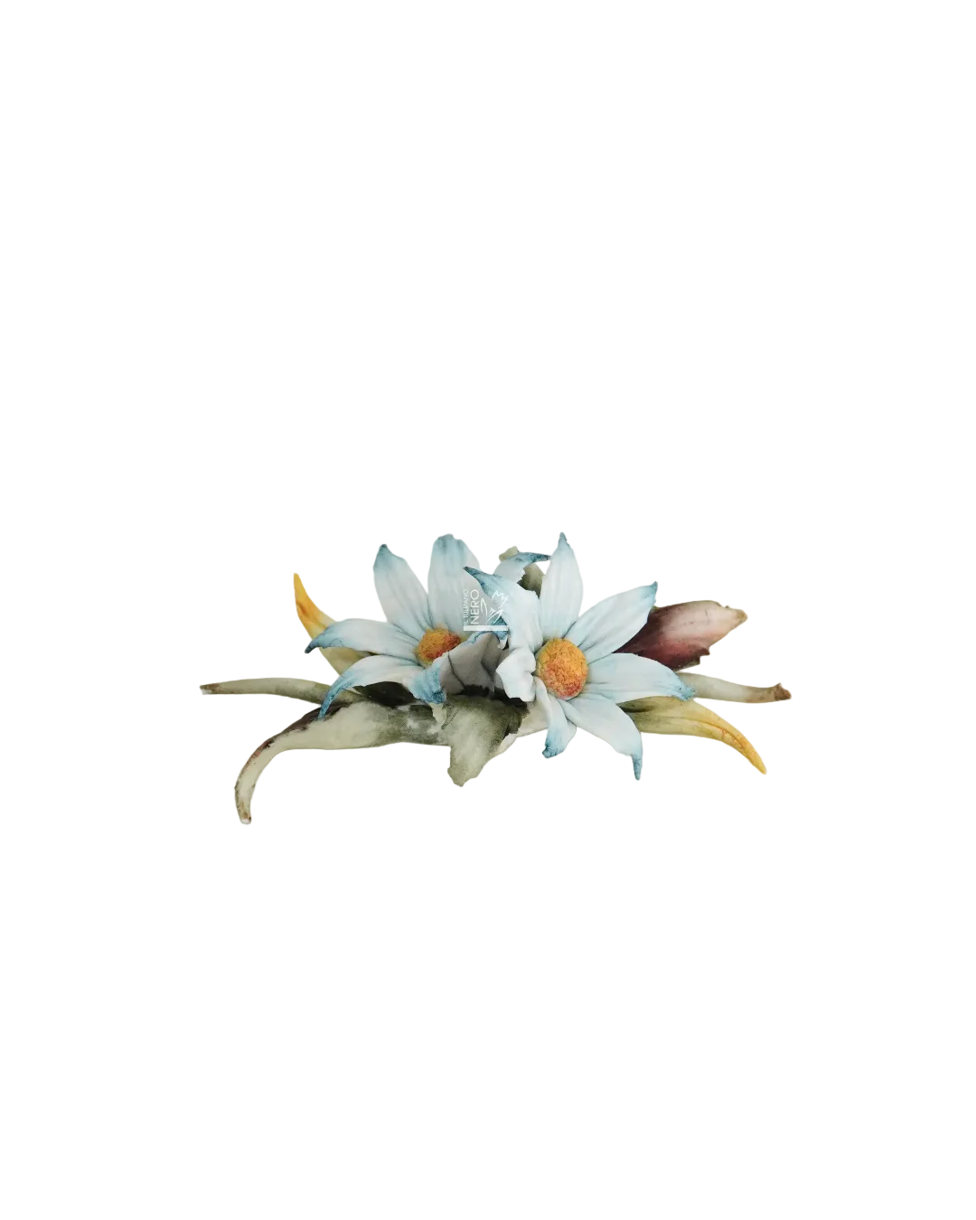 Composizione Floreale con Margherite Azzurre | Maiello Capodimonte