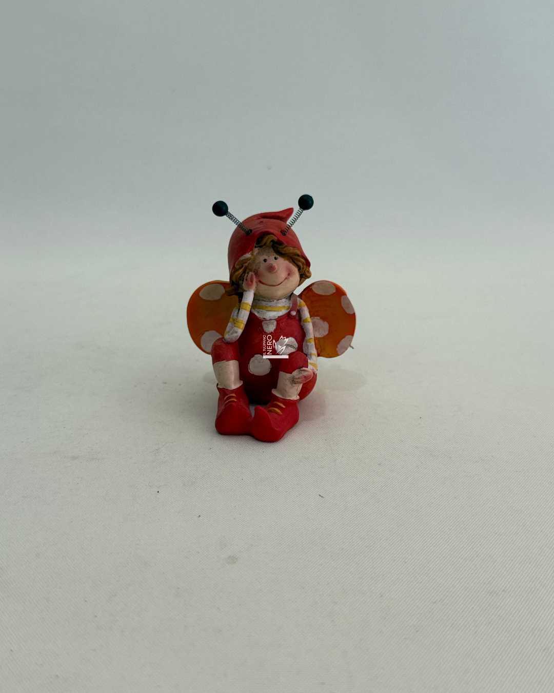 Coccinella in Resina