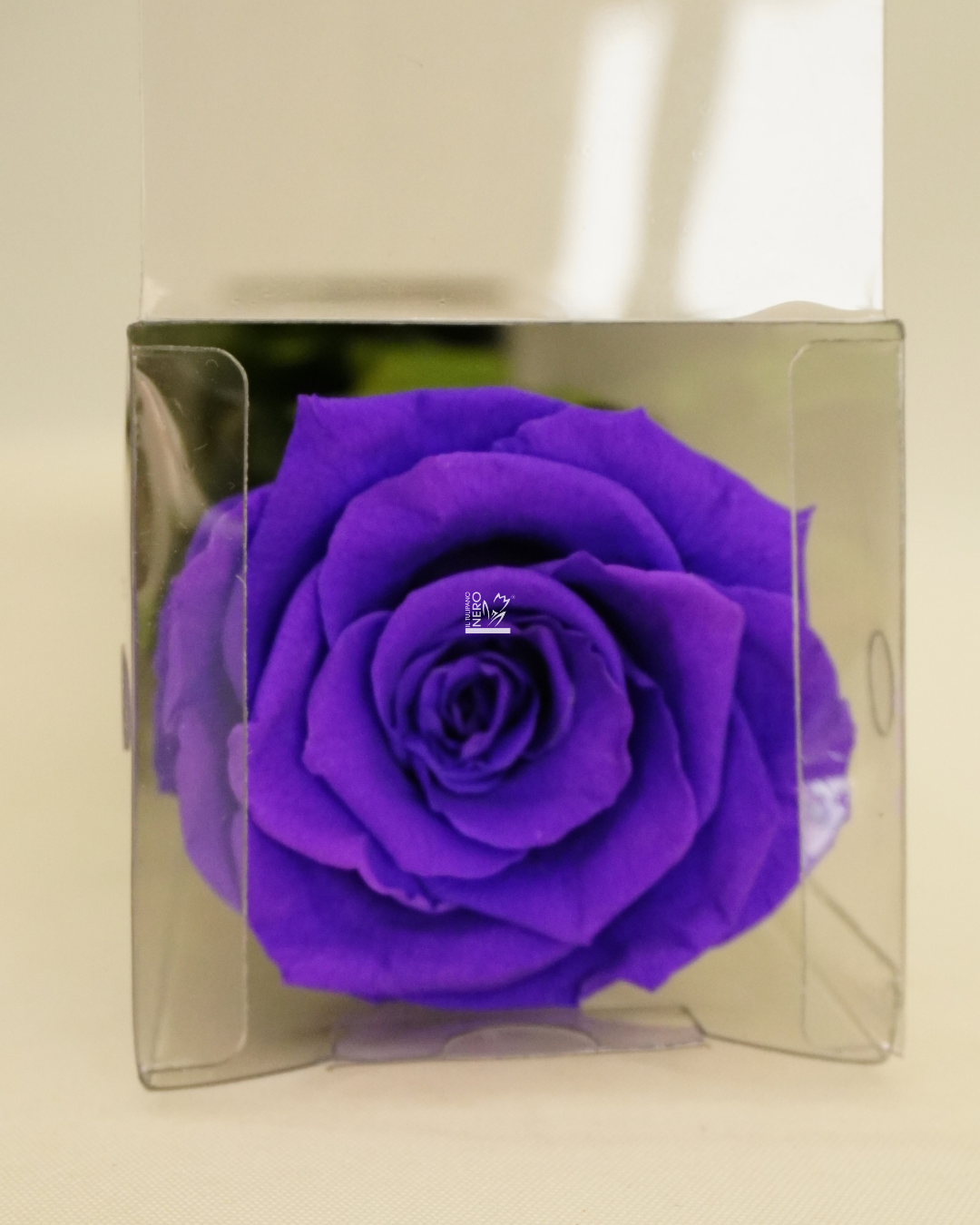 Rosa Viola Stabilizzata