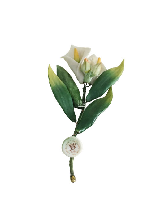 Calla | Capodimonte