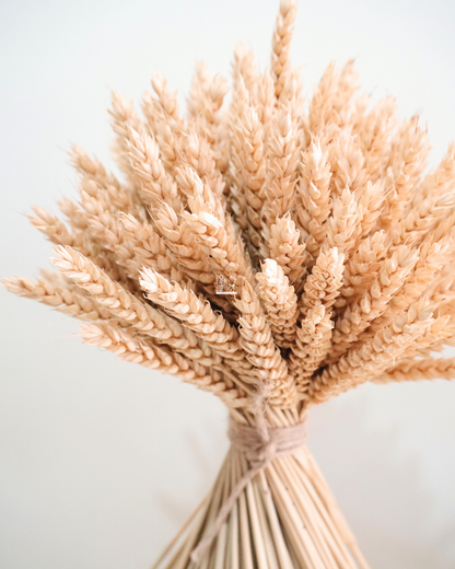 Bouquet di Spighe di Grano