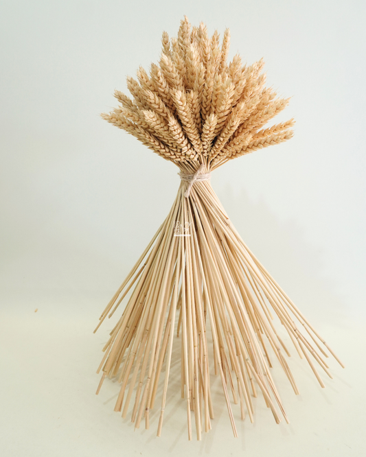 Bouquet di Spighe di Grano