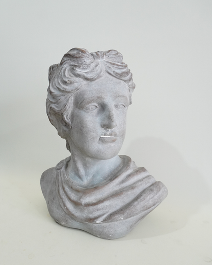 Busto Cemento | EDG