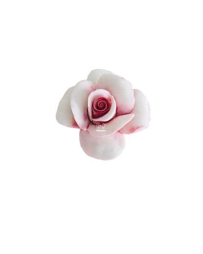 Bocciolo di Rosa | Capodimonte
