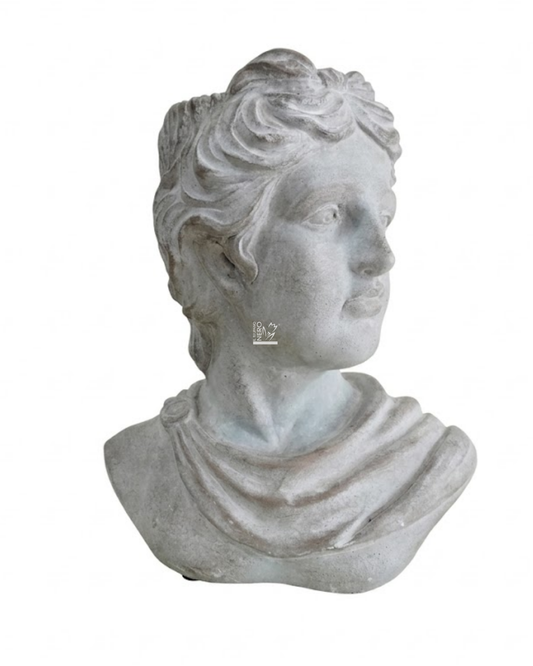 Busto Cemento | EDG