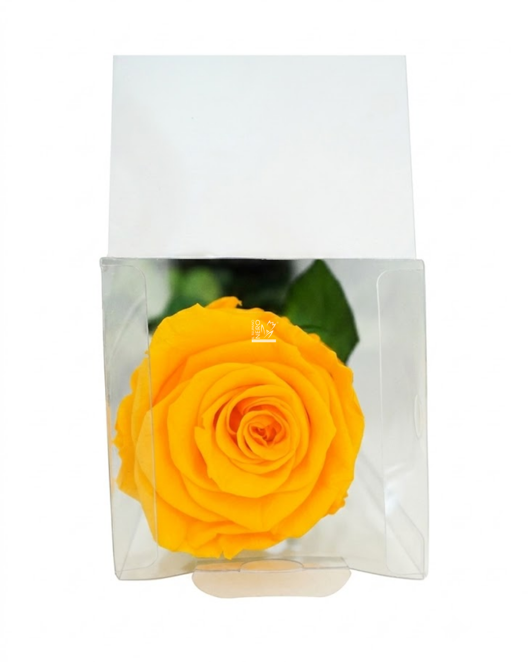 Rosa Gialla Stabilizzata
