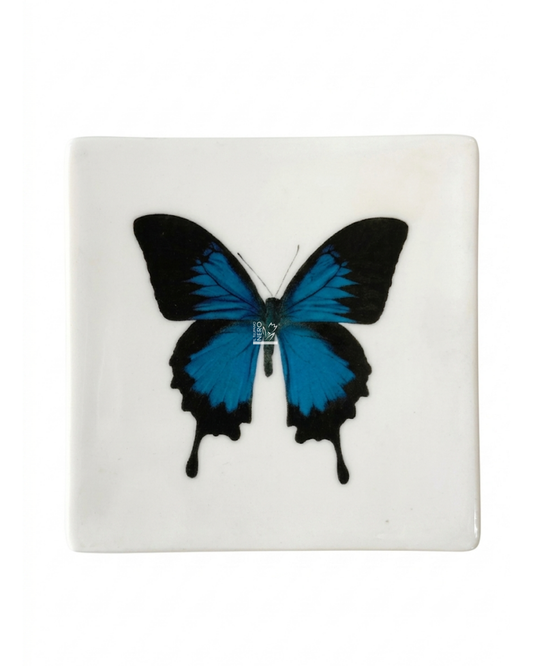 Sottobicchiere con Farfalla Blu e Nera | HENRIETTE