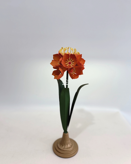Clivia in Metallo